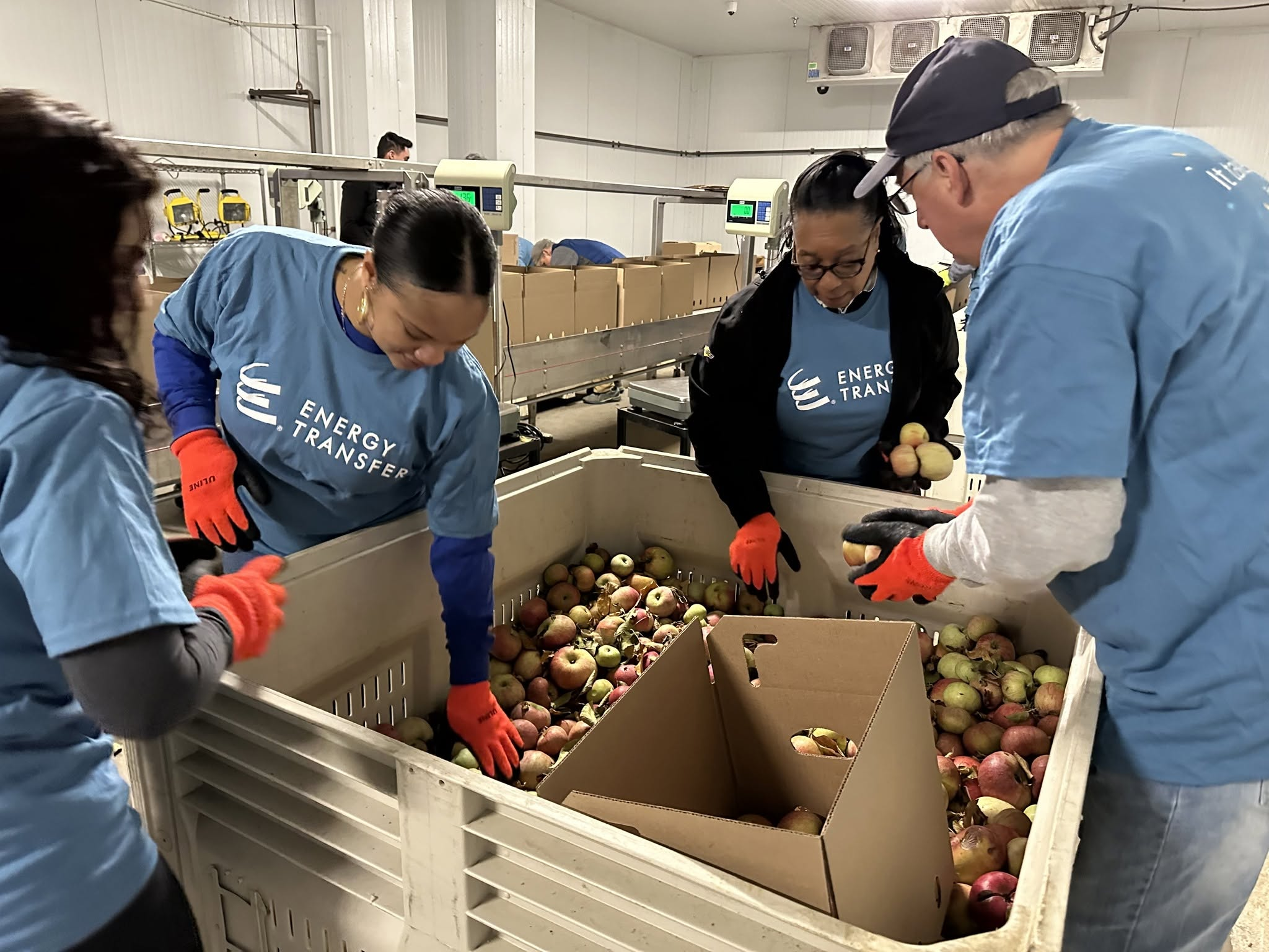 philabundance2